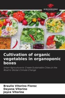 Cultivation of organic vegetables in organoponic boxes