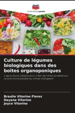 Culture de légumes biologiques dans des boîtes organoponiques