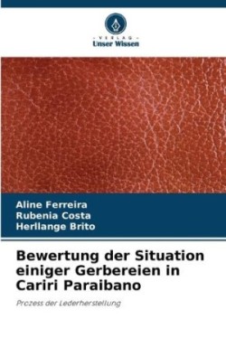 Bewertung der Situation einiger Gerbereien in Cariri Paraibano