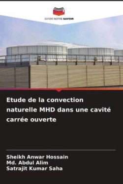 Etude de la convection naturelle MHD dans une cavité carrée ouverte