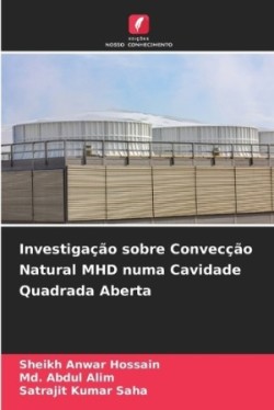 Investigação sobre Convecção Natural MHD numa Cavidade Quadrada Aberta