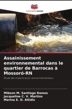 Assainissement environnemental dans le quartier de Barrocas à Mossoró-RN