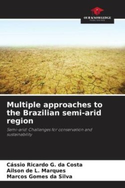 Multiple approaches to the Brazilian semi-arid region