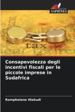 Consapevolezza degli incentivi fiscali per le piccole imprese in Sudafrica