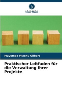 Praktischer Leitfaden für die Verwaltung Ihrer Projekte