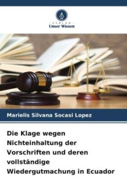 Klage wegen Nichteinhaltung der Vorschriften und deren vollständige Wiedergutmachung in Ecuador