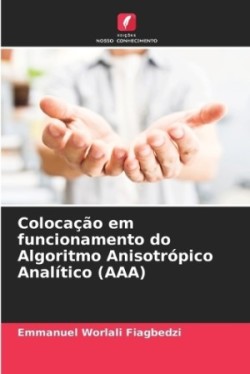 Colocação em funcionamento do Algoritmo Anisotrópico Analítico (AAA)