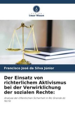 Einsatz von richterlichem Aktivismus bei der Verwirklichung der sozialen Rechte