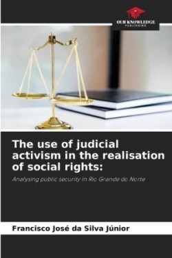 use of judicial activism in the realisation of social rights