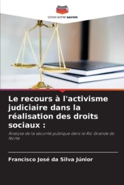 recours à l'activisme judiciaire dans la réalisation des droits sociaux