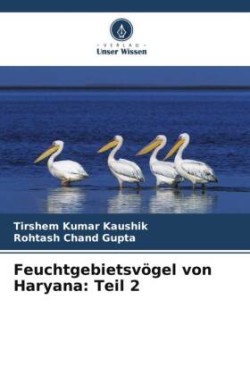 Feuchtgebietsvögel von Haryana