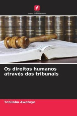 Os direitos humanos através dos tribunais