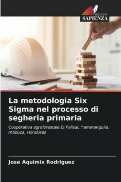 metodologia Six Sigma nel processo di segheria primaria