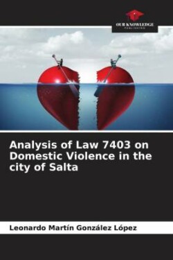 Analysis of Law 7403 on Domestic Violence in the city of Salta