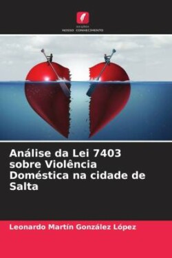 Análise da Lei 7403 sobre Violência Doméstica na cidade de Salta