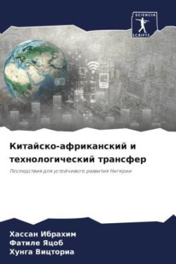 Китайско-африканский и технологический т