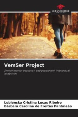 VemSer Project