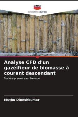 Analyse CFD d'un gazéifieur de biomasse à courant descendant