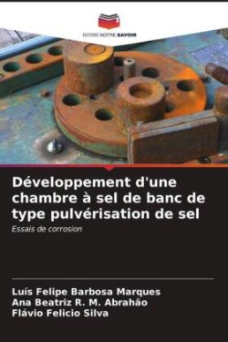 Développement d'une chambre à sel de banc de type pulvérisation de sel