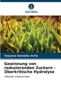 Gewinnung von reduzierenden Zuckern - Überkritische Hydrolyse