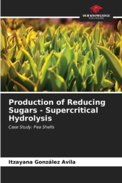 Production of Reducing Sugars - Supercritical Hydrolysis