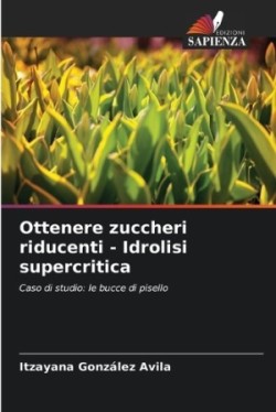 Ottenere zuccheri riducenti - Idrolisi supercritica