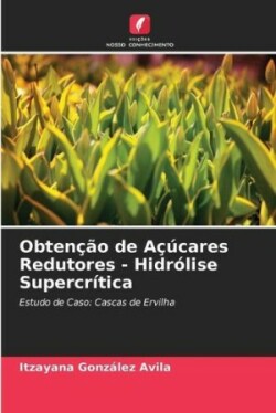 Obtenção de Açúcares Redutores - Hidrólise Supercrítica