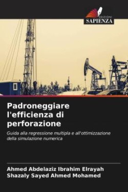 Padroneggiare l'efficienza di perforazione