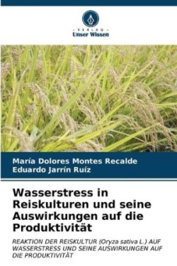 Wasserstress in Reiskulturen und seine Auswirkungen auf die Produktivität