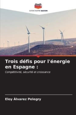 Trois défis pour l'énergie en Espagne