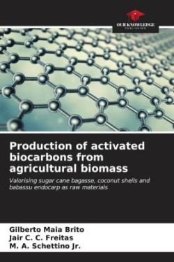 Production of activated biocarbons from agricultural biomass