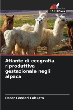 Atlante di ecografia riproduttiva gestazionale negli alpaca