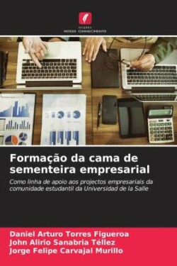 Formação da cama de sementeira empresarial