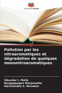 Pollution par les nitroaromatiques et dégradation de quelques mononitroaromatiques