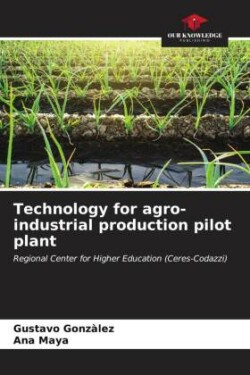 Technology for agro-industrial production pilot plant