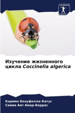 Изучение жизненного цикла Coccinella algerica
