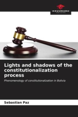 Lights and shadows of the constitutionalization process