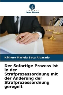 Sofortige Prozess ist in der Strafprozessordnung mit der Änderung der Strafprozessordnung geregelt