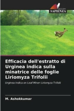 Efficacia dell'estratto di Urginea indica sulla minatrice delle foglie Liriomyza Trifolii