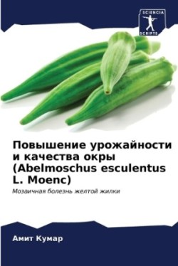 Повышение урожайности и качества окры (Abelmoschus esculen