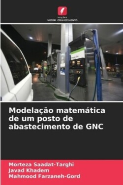 Modelação matemática de um posto de abastecimento de GNC