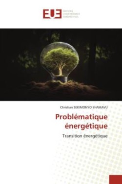 Problématique énergétique