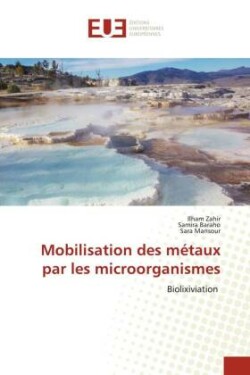 Mobilisation des m�taux par les microorganismes