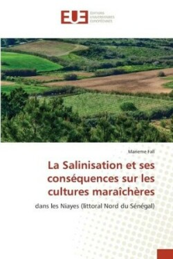 Salinisation et ses conséquences sur les cultures maraîchères