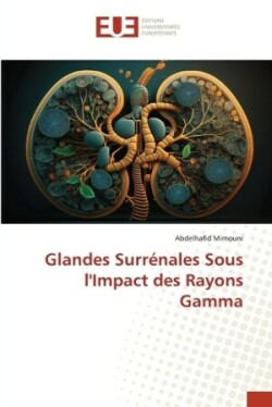 Glandes Surrénales Sous l'Impact des Rayons Gamma