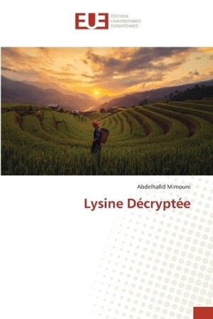 Lysine Décryptée