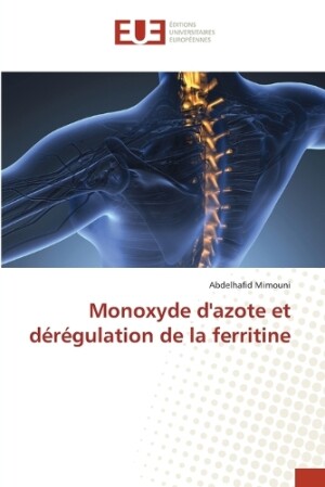 Monoxyde d'azote et dérégulation de la ferritine