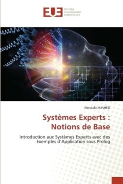 Systèmes Experts