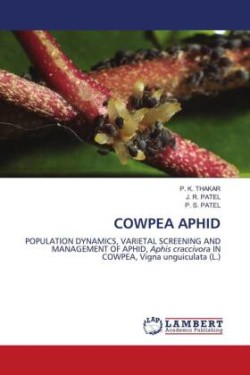 COWPEA APHID