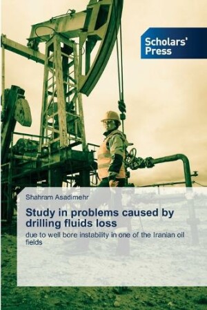 Study in problems caused by drilling fluids loss